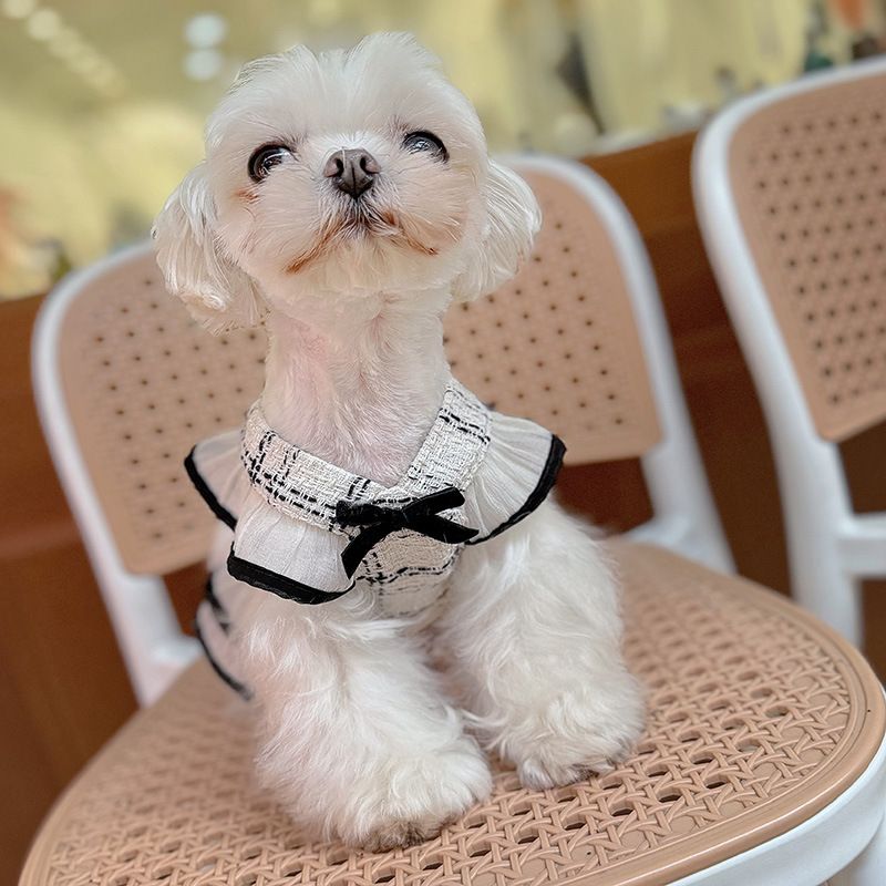 25 Frühling Sommer Neuer Stil Chanel-inspirierte Haustier Hund Katze Kleidung Geschirr Set mit Leine_voghion.com