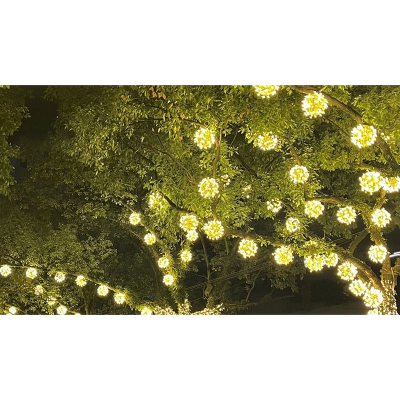 LED Rattan Ball Flashing String Starry Sky Outdoor Decorative Waterproof Tree Landscape Lighting Arrangement Small_voghion.com