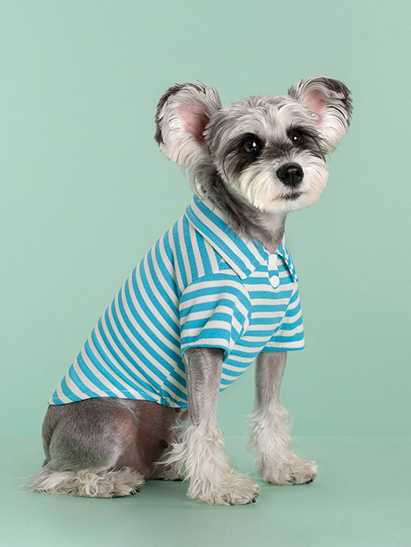 Dog Clothes New Summer Striped Two Legged Teddy Bichon Pomeranian French Bulldog Cat Clothes Thin Pet Clothes_voghion.com
