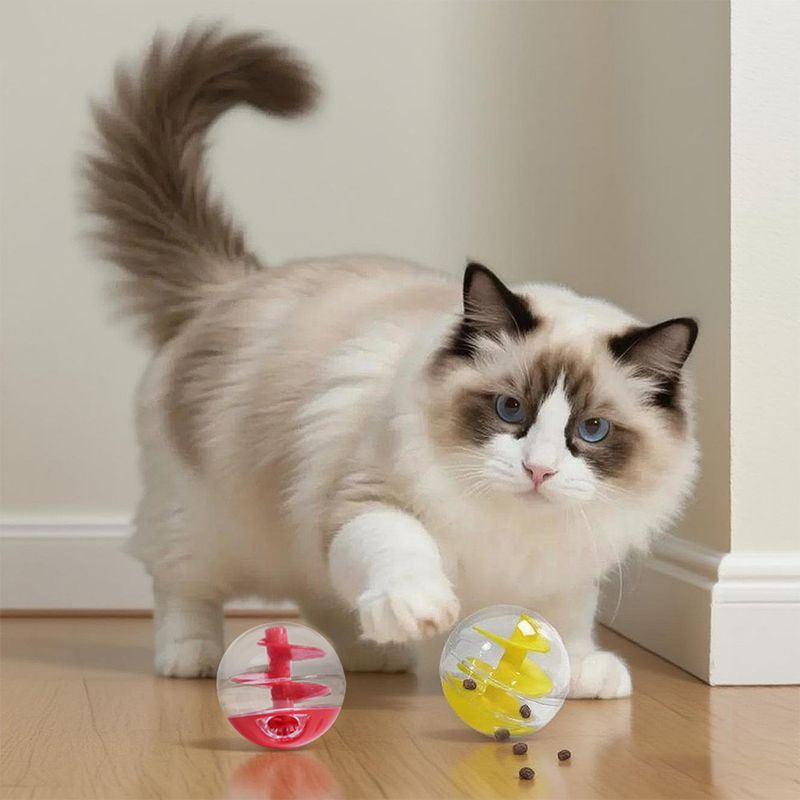 Balle de nourriture en spirale pour chat, jouet d'alimentation, jouet engageant, facile à nettoyer, léger, distributeur de nourriture et de friandises_voghion.com