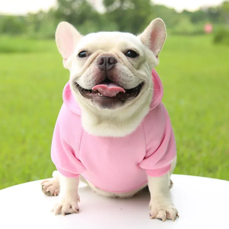 Herfst-winter hondenjas met zakken, sweatshirt met capuchon, warme kleding voor huisdieren, hoodie voor honden, chihuahua's, mopshonden en yorkies van PawParty Store_voghion.com