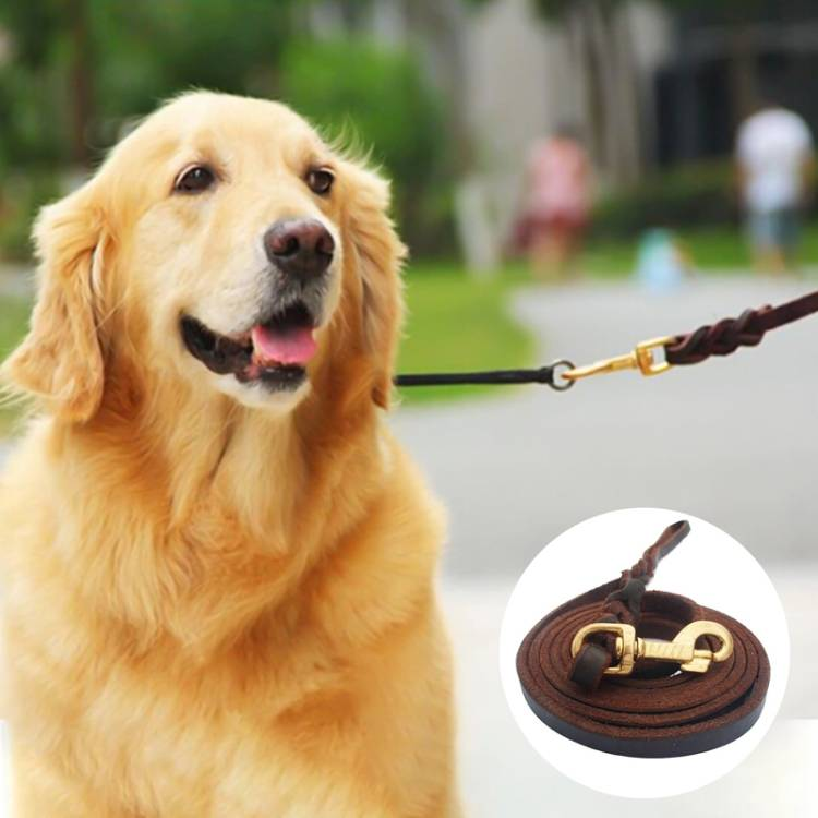 Pet Outing Cowhide Towing Leash Dog Training Harness_voghion.com