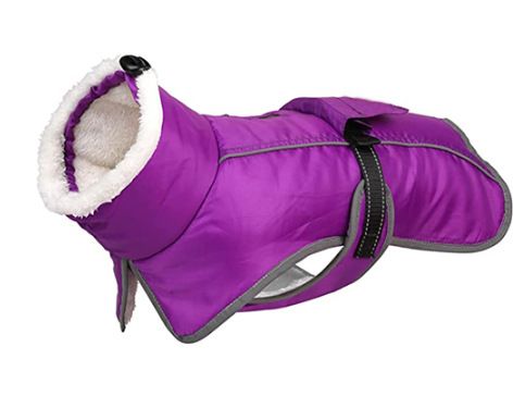 Ropa nueva de otoño e invierno, cálida, impermeable y resistente al frío, abrigo de algodón para mascotas, suministros para perros._voghion.com
