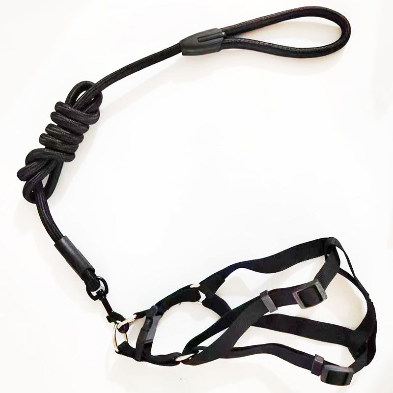 Pet Harness Collar Two-Piece Three-Piece Set For Large Medium Small Dogs Dog Walking Leash_voghion.com