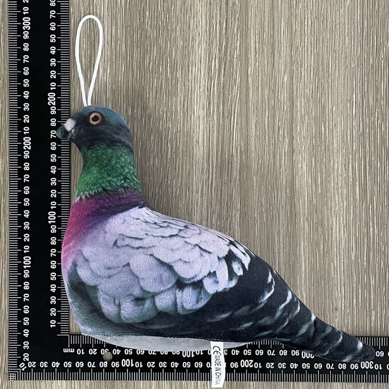 Giocattolo di peluche transfrontaliero simulazione realistica piccione pollo animale di peluche uccello_voghion.com
