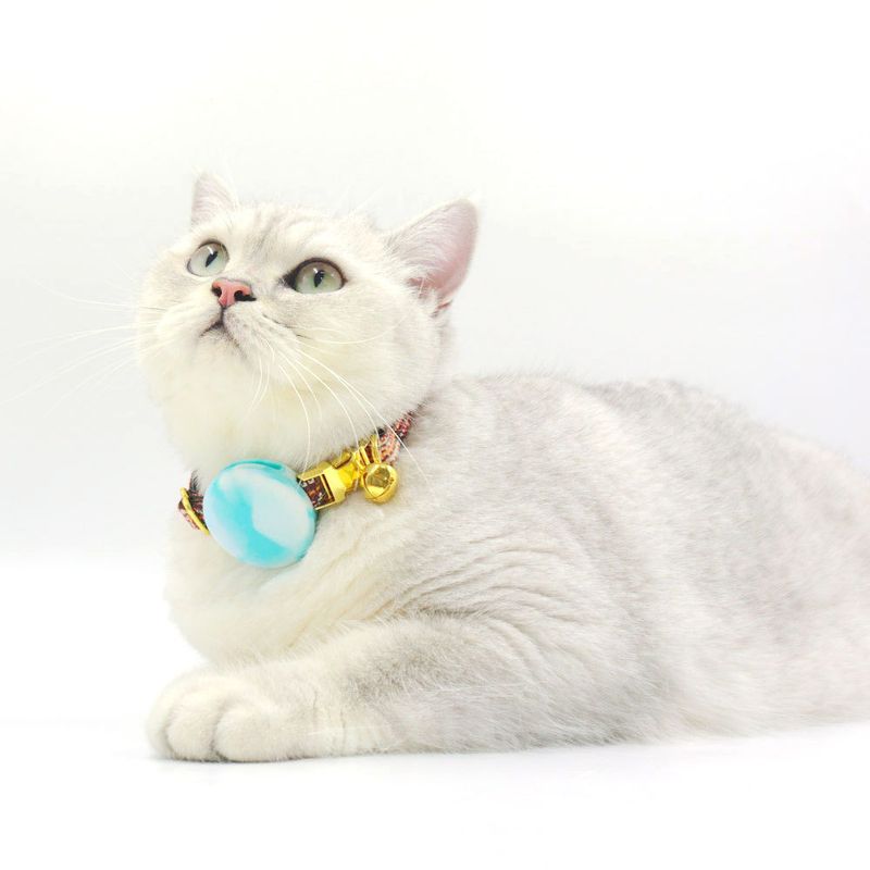 Haustier-Locator-Schutzpatent für GPS-Silikon-Shell-Abdeckung Katzenhalsband Airtag-Hülle_voghion.com