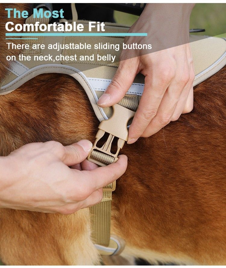 Pet 2024 per cani di taglia media e grande, imbracatura tattica in stile gilet, guinzaglio per passeggiate con il cane_voghion.com