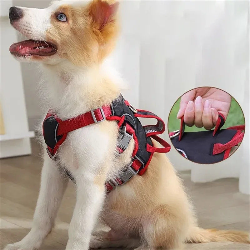 Guinzaglio antideflagrante resistente per cani di grossa taglia, Bulldog francese riflettente, Pastore_voghion.com