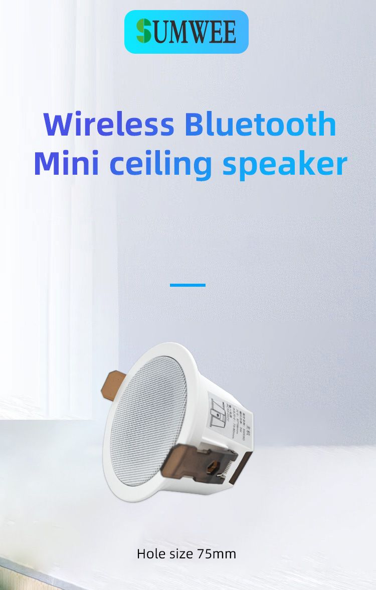2 Inch Mini Home Audio Bluetooth Ceiling Speaker Stereo Sound Indoor Speakers High Quality Sound Background Music System_voghion.com