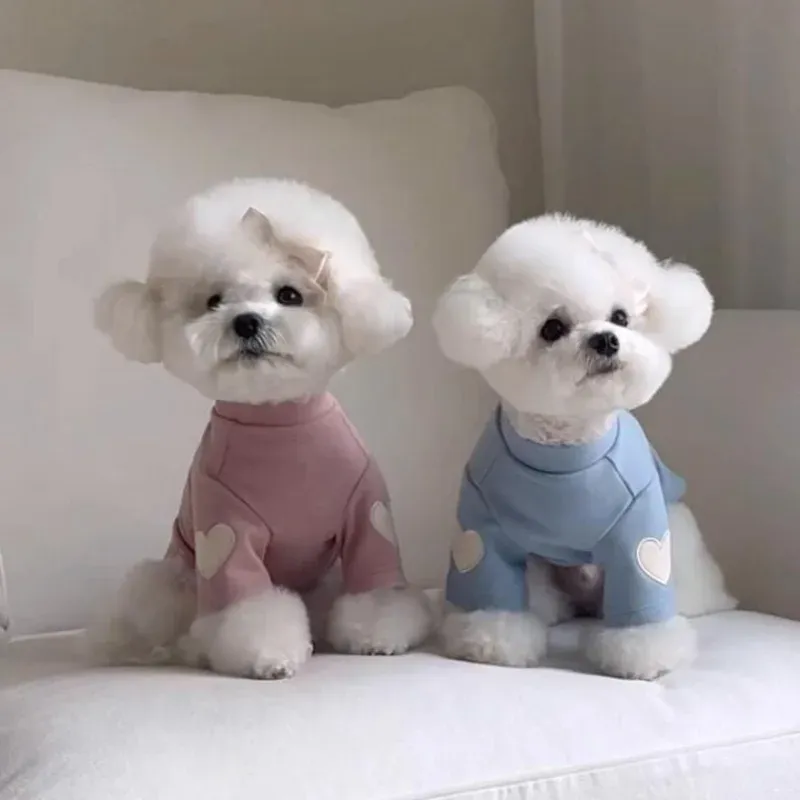 Roupas quentes de inverno para cães e gatos, camiseta com capuz, urso de pelúcia, yorkshire, roupas quentes para gatos e animais de estimação, roupas de grife para filhotes_voghion.com