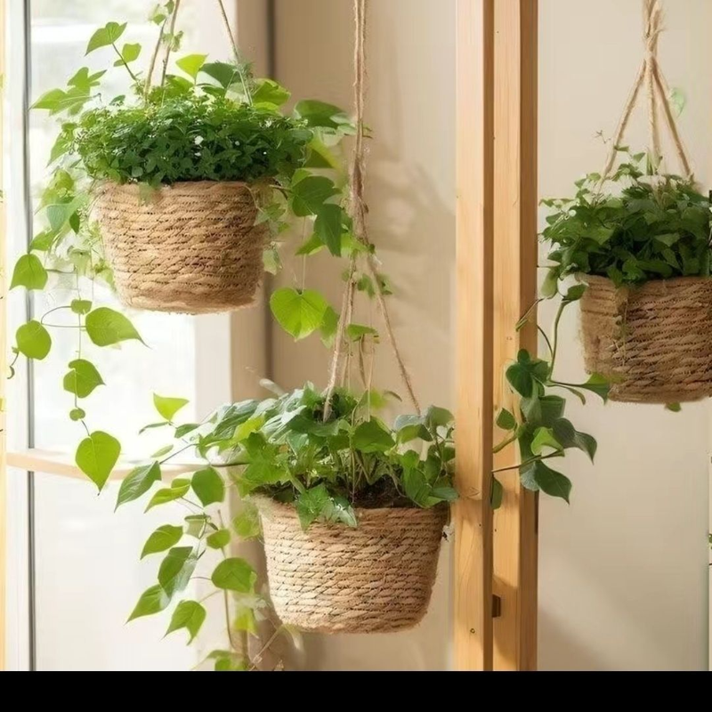 Hanging Plants, Baskets, Hanging Pots_voghion.com