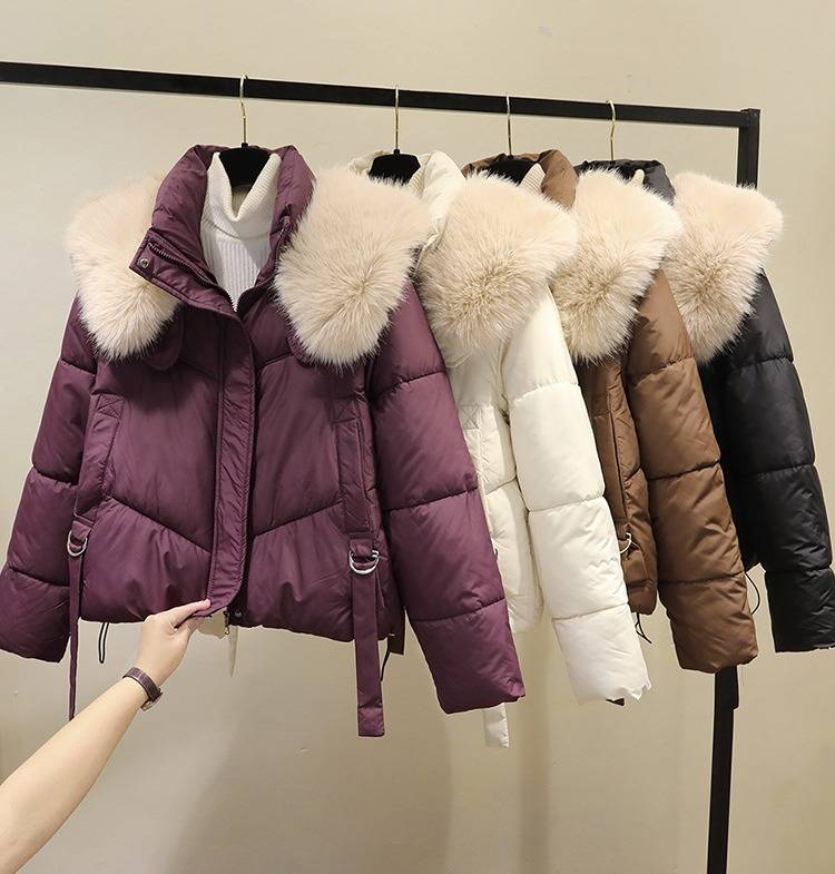 Dames winter korte pufferjas met oversized imitatiebontkraag - Gezellige gewatteerde donsalternatieve jas voor casual en kantoorkleding_voghion.com