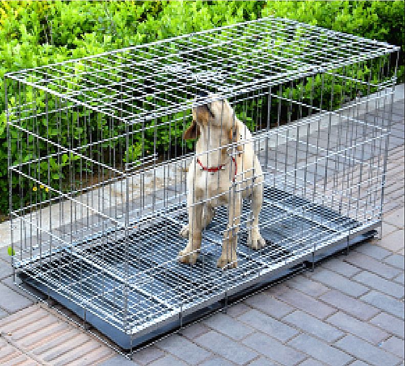 Gabbia pieghevole portatile per cani, gatti, polli e conigli in acciaio ad angolo_voghion.com
