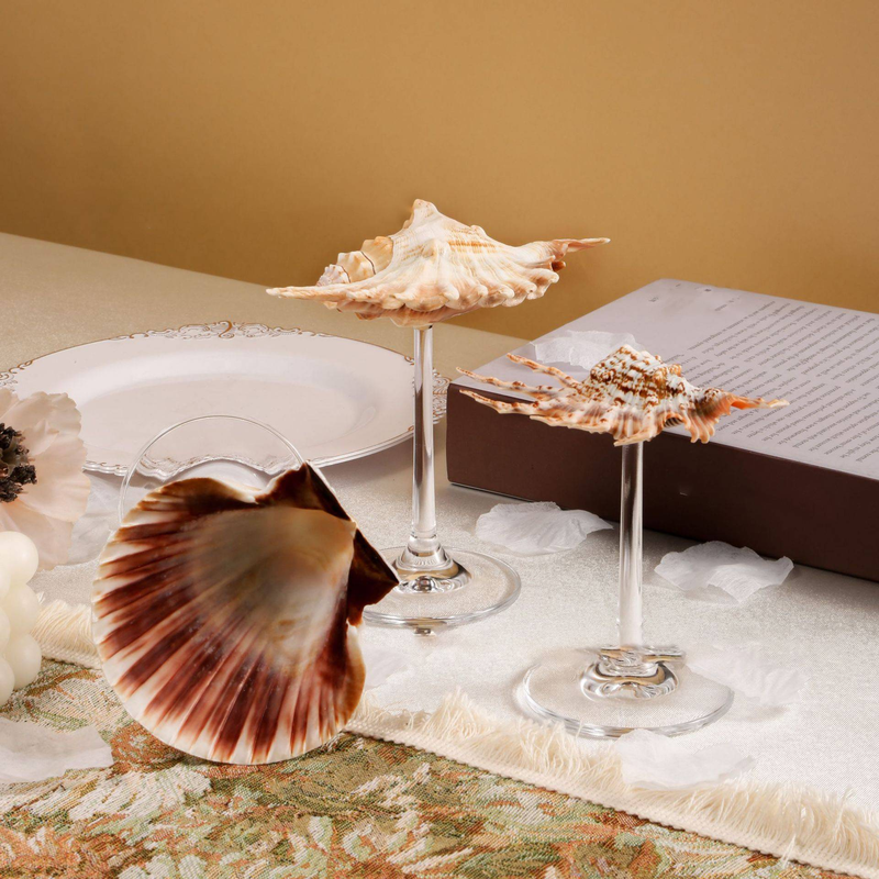 Portagioie squisito in vetro di vino con conchiglia naturale pura, utilizzato per decorare collane di gioielli, campanelli eolici per aromaterapia_voghion.com