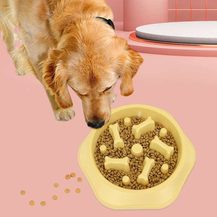 Bone Shape Dog Slow Food Bowl For Small Or Large Dog_voghion.com