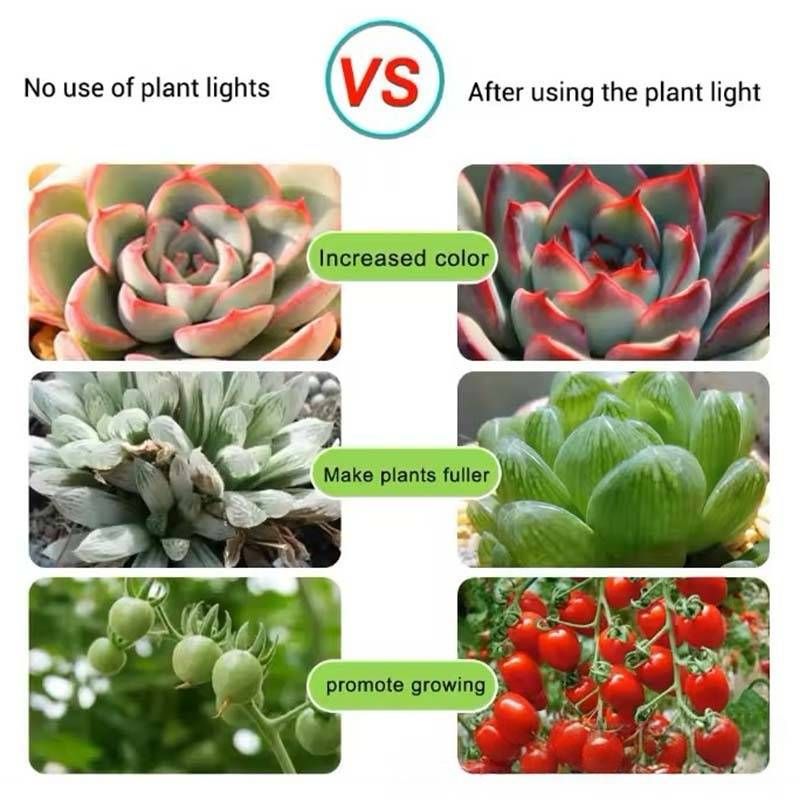 Striscia luminosa a LED USB da 5 V per piante da interno, idroponica e serre, chip 2835, 30 LED/metro, spettro viola_voghion.com