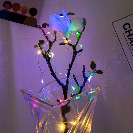 Dekorative LED-Flaschenverschlusslichter – batteriebetriebene Weinflaschenlichter mit 3 Modi_voghion.com