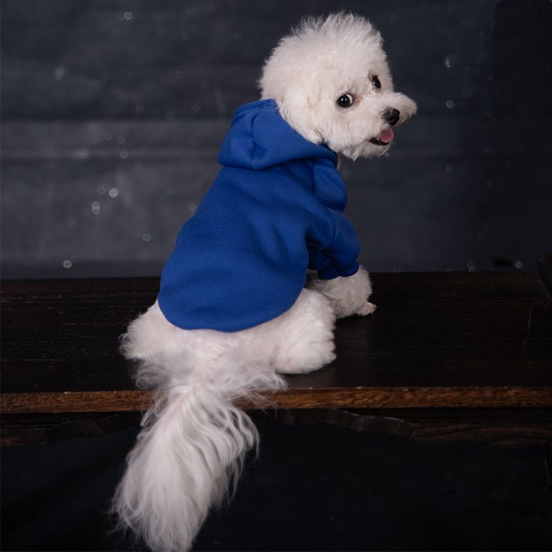 Vestiti per cani di colore solido per autunno e inverno, foderati in pile, caldi vestiti per animali domestici, felpa con cappuccio in pile per cani di grandi dimensioni, sei colori_voghion.com