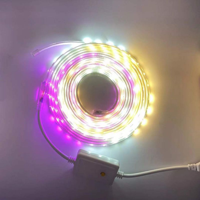 Tira de luces LED RGB de alto voltaje de 10 m: chip 2835 resistente al agua, con efectos dinámicos de seguimiento para publicidad exterior, iluminación paisajística y arquitectónica._voghion.com
