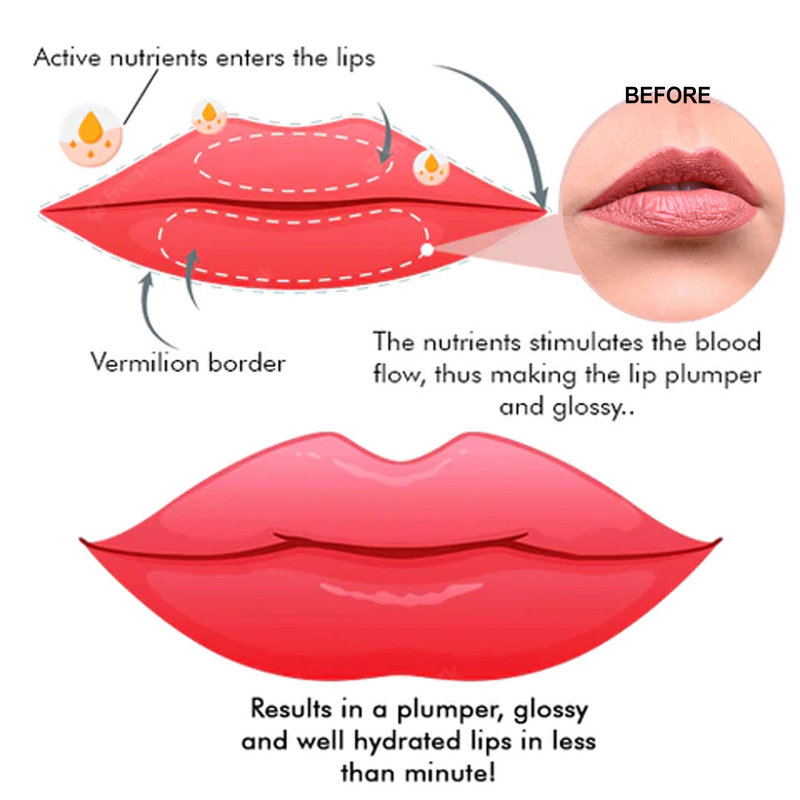 Brillo labial hidratante y voluminizador EELHOE, anti-labios agrietados, aclara las líneas de los labios, humectación de labios, humectación y cuidado de los labios carnosos_voghion.com