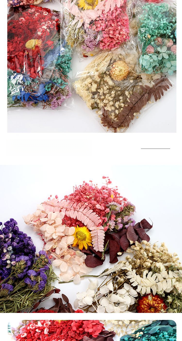Konserviertes getrocknetes DIY-Material-Kit, echte natürliche luftgetrocknete Kerze, Fächerrahmen, Grußkarten-Dekoration, handgemachte Blume_voghion.com