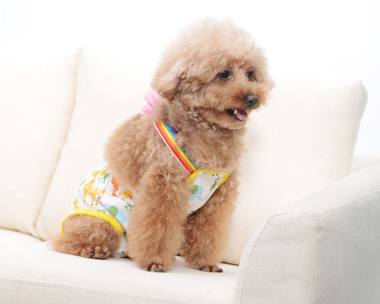 Teddy Bixiong Hygienehose Trägerhose Sicherheitshose Hündin Menstruationshose Anti-Belästigung Hose Haustierhose_voghion.com