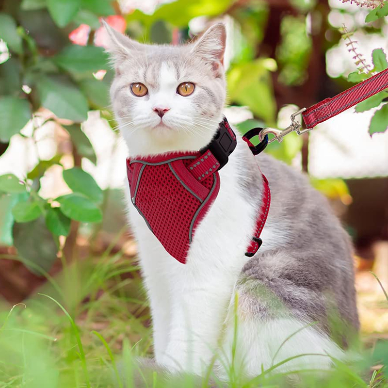 Guangying Pet Harness Striscia riflettente Regolabile Traspirante Gatti Cani Gilet Cinghia toracica per esterni_voghion.com