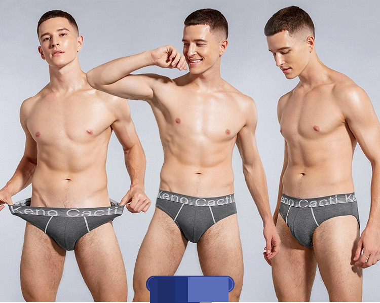 Men's Underwear Pure Cotton Men's Briefs New Large Size Mid Waist Summer Breathable Briefs Bag Delivery_voghion.com