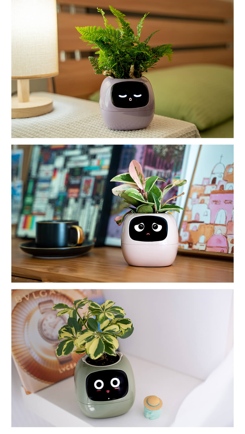Chytrý květináč PlantsIO Ivy, nekonečná zábava, více než 49 bohatých výrazů, 7 chytrých senzorů a AlChips usnadňují a zpříjemňují pěstování rostlin_voghion.com