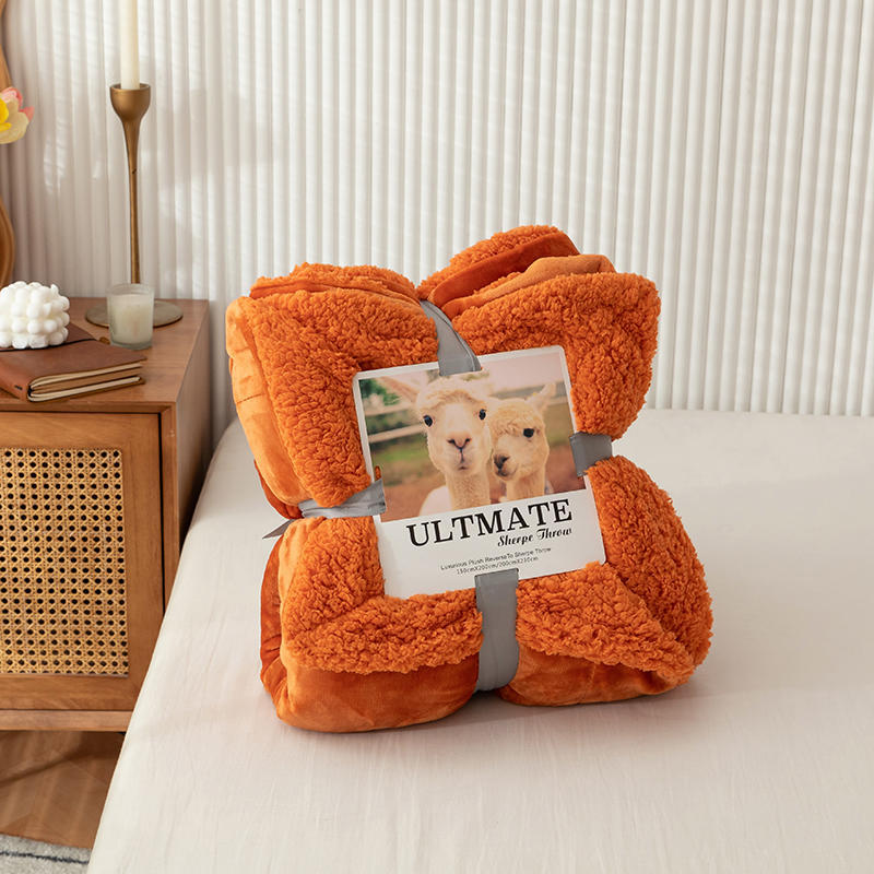 European and American trendy brand ins lamb plush blanket, crystal plush cover blanket, double layer blanket, coral plush four season blanket_voghion.com