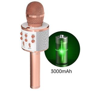 5 Core Bluetooth Wireless Karaoke Microphone All-in-One Portable Handheld Mic with Speaker Recorder Microfono Inalambrico - WM SPK Copper_voghion.com