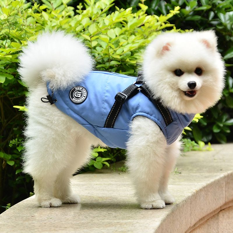 Warmer Hundemantel für kleine und mittelgroße Hunde, Jacke, Welpenkleidung, reflektierende Winter-Haustier-gepolsterte Weste, Yorkie, Chihuahua, Mops_voghion.com