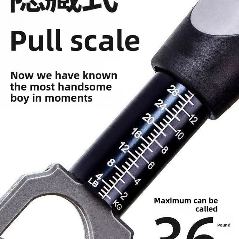Fish Controller With Weighing And Controlling Device, Large Object, Road, Sub Aluminum Alloy Multifunctional Fish Clamp Pliers,_voghion.com