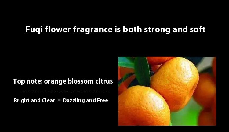 New Perfume Little City Yixiang Free Water Women's Perfume Fresh And Lasting Eau De Toilette Student Fair Price Vietnam Perfume_voghion.com