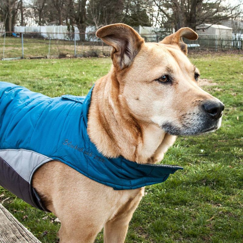 Helios Hurricane-Waded Plush 3M Reflective Dog Coat w/ Blackshark technology_voghion.com