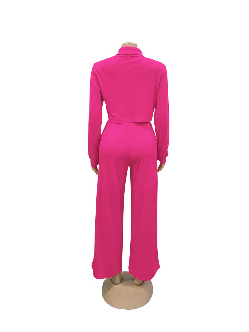 Damenbekleidung Herbstmode Revers Langarm Hohe Taille Weite Beinhose Pendeln Eleganter Anzug_voghion.com