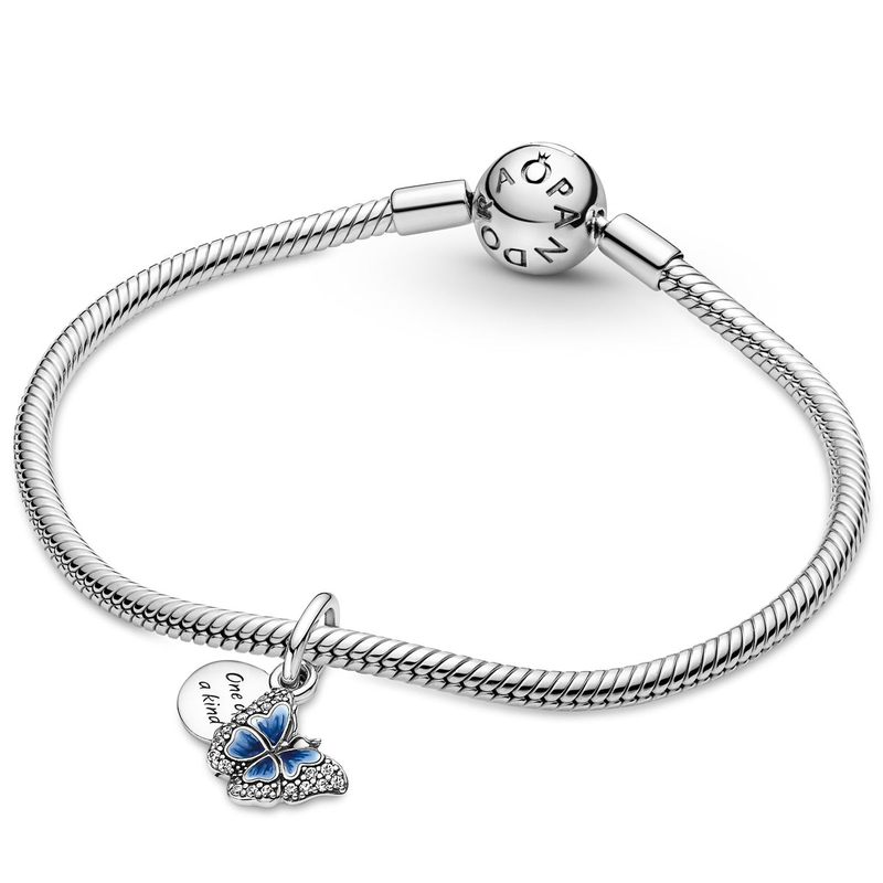 Blue Butterfly & Quote Double Dangle Charm_voghion.com