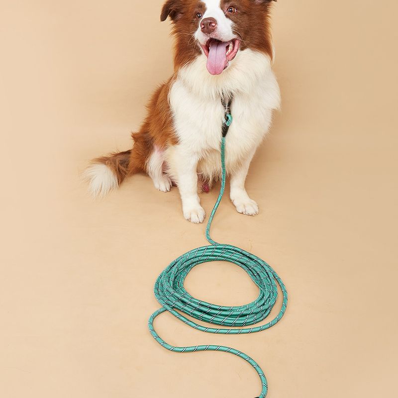Guinzaglio per animali domestici, addestramento speciale per l'auto-aiuto esteso per passeggiate con il cane_voghion.com
