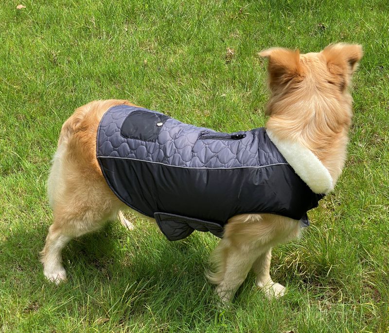 Pocket new pet clothes autumn and winter dog clothes vest cotton coat double sided wearable dog clothes coat clothing_voghion.com