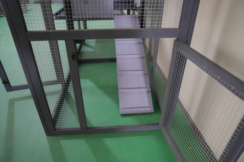 79"Large Chicken Coop With Upgraded Perches, Wooden Outdoor Chicken Cage With Large Nesting Box, Weatherproof Open Asphalt Roof &Removable Bottom, Duck House, Rabbit Hutch_voghion.com