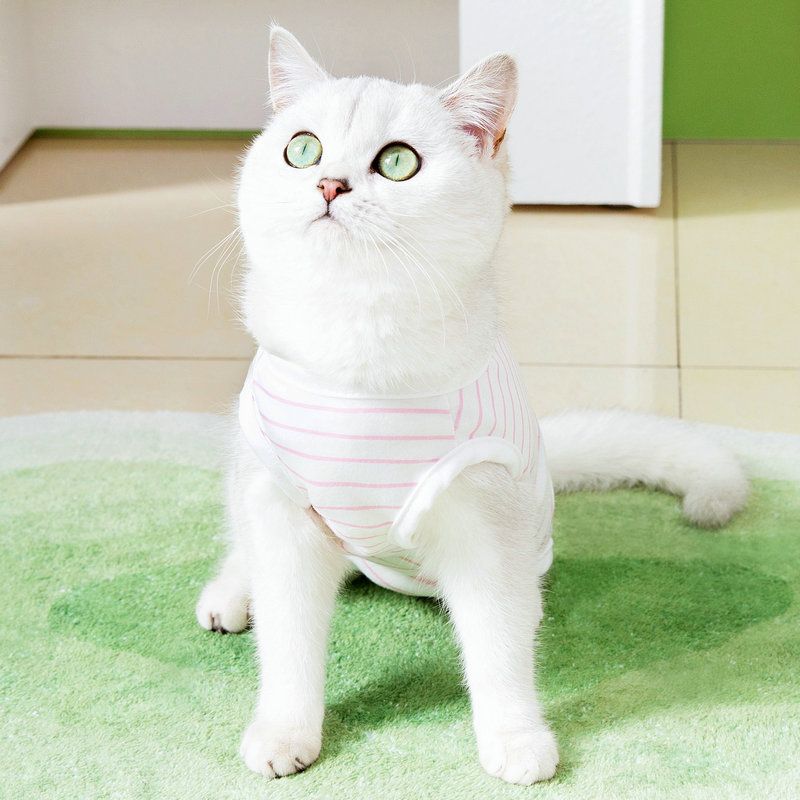 Postpartum Spring Summer Surgery Anti-Lick Weaning Four-Legged Home 23 Stripes Cat Neutering Clothes_voghion.com