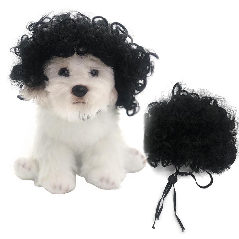 Huisdier pruik Honden pruik Huisdier benodigdheden Halloween Huisdier accessoires Krullend Stijl haar katten pruik_voghion.com