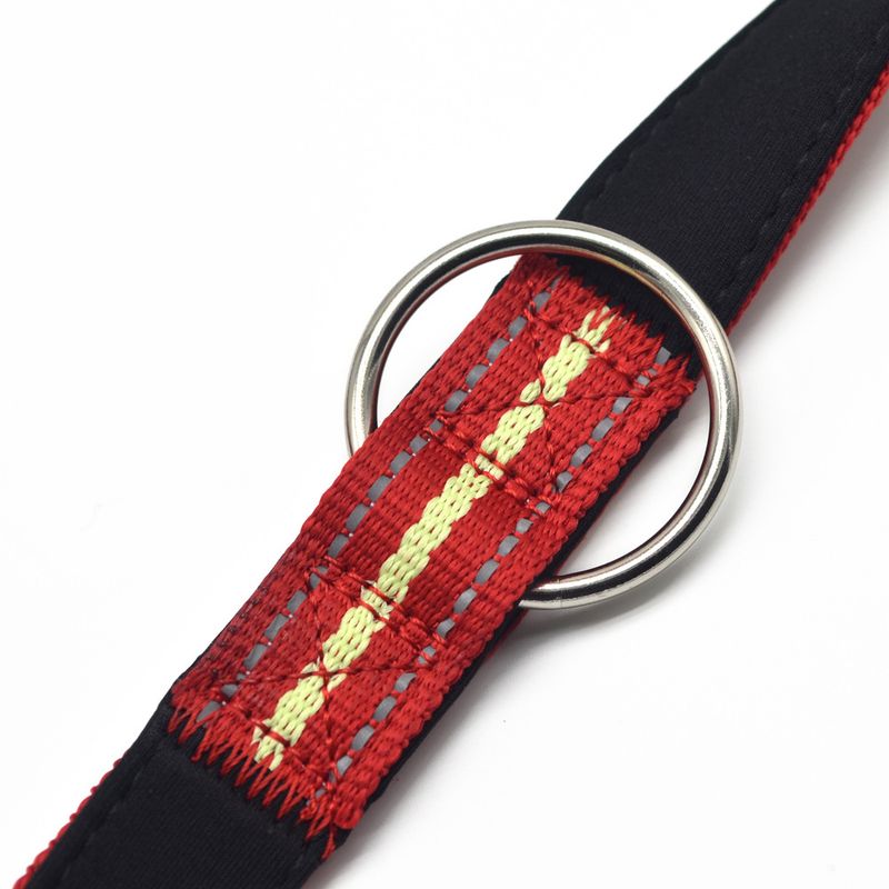 Pet Luminous Multi-Functional Leash Outdoor Sports Anti-Lost Small Dog_voghion.com