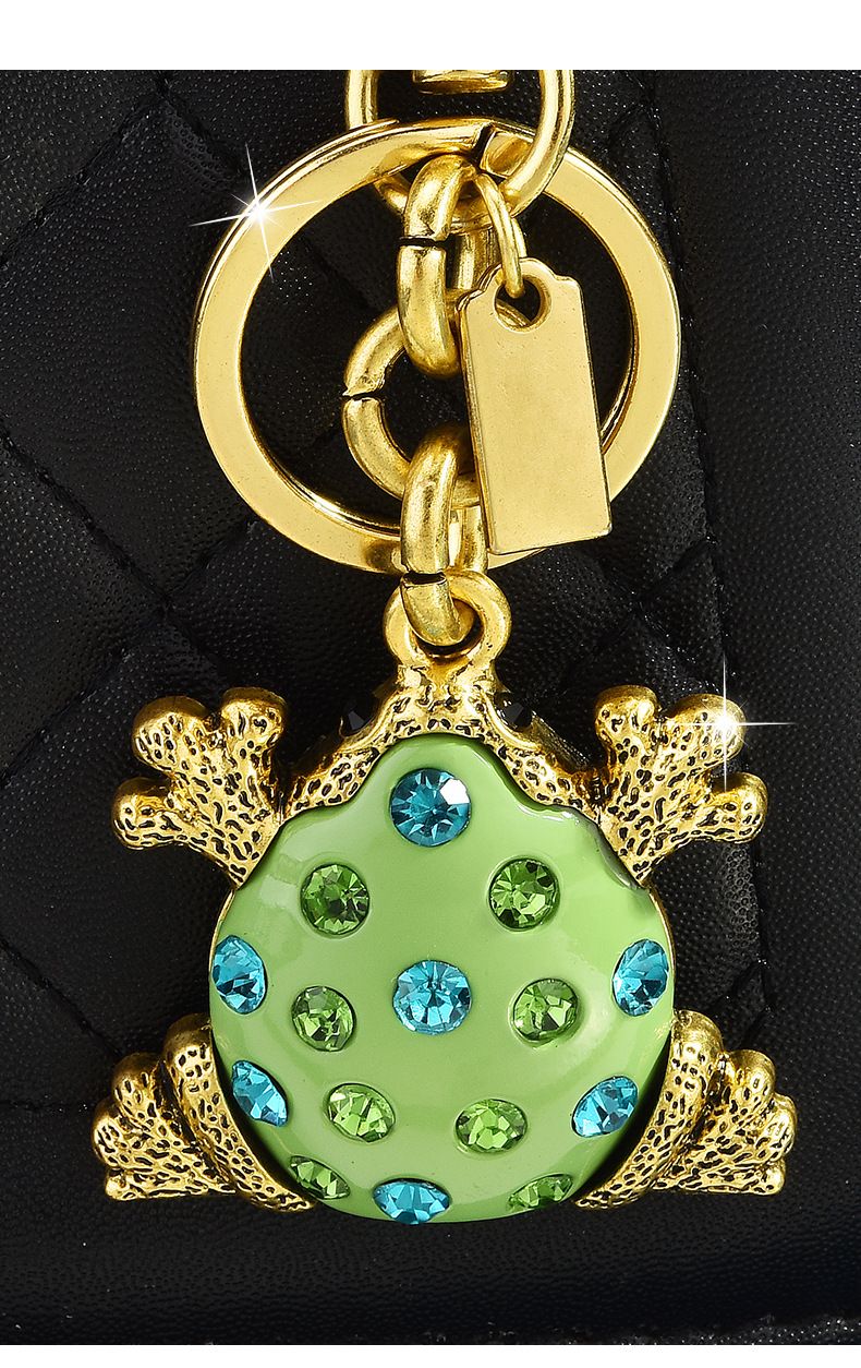 Portachiavi con ciondolo a forma di rana multicolore, accessorio di moda, portachiavi, ornamento personalizzato_voghion.com