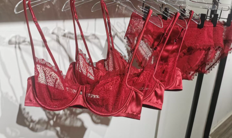 Abbigliamento da donna Sexy reggiseno a rete ultrasottile affollato stampa leopardata prospettiva tentazione biancheria intima da donna grande petto mostra piccolo reggiseno push-up_voghion.com