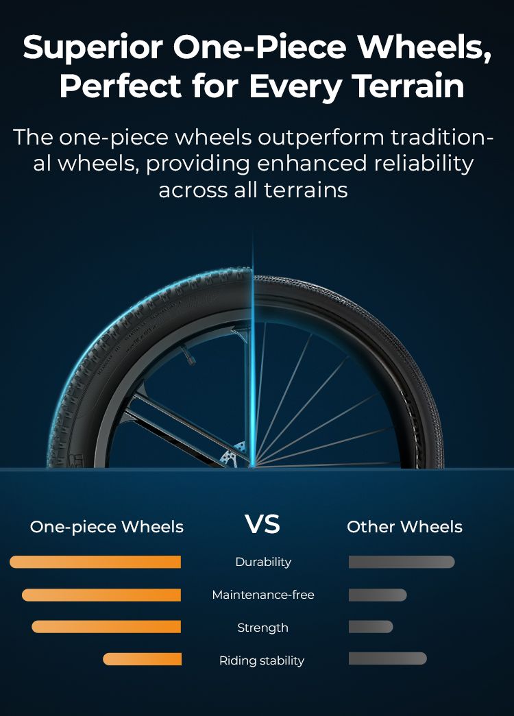 ENGWE EP-2 BOOST E-Mountain Bike 20X4.0 pollici Pneumatici per tutti i terreni Bicicletta elettrica Bicicletta elettrica pieghevole_voghion.com