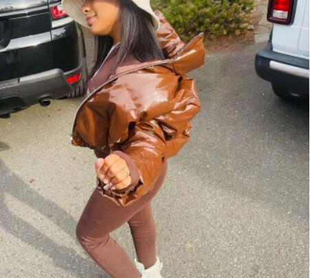 Puff Sleeve Winter Coat For Women - Shiny Quilted Jacket With Stand Collar, Lightweight Warmth, Trendy Streetwear & Office Wear_voghion.com