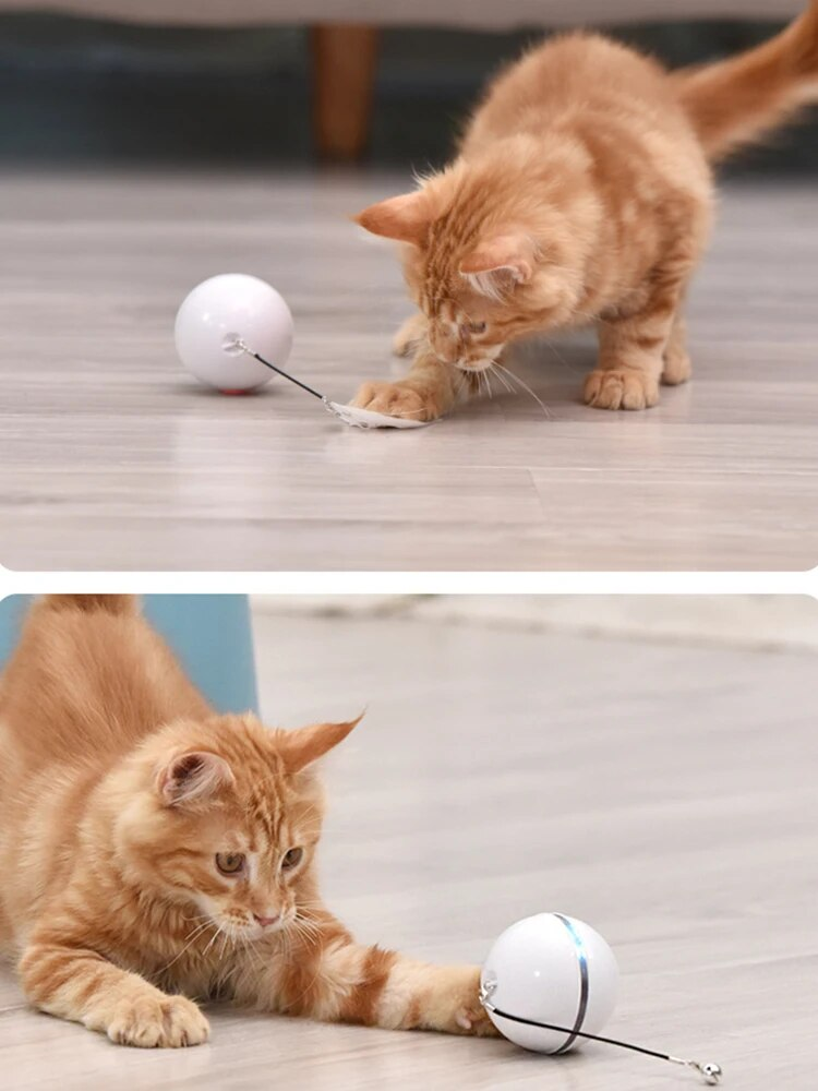 Pelota automática inteligente para gatos, interactiva, recargable por USB, con luces LED de colores y campanas de plumas, juguetes para gatos y gatitos_voghion.com