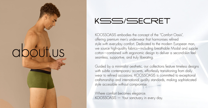 KSS/SECRET 4-pack Of New Ice Silk Mesh Men's Boxer Briefs In European And American Plus Sizes_voghion.com