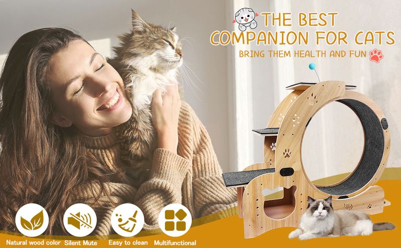 Cat Wheel 6-in-1 Cat Exercise Wheel,Upgraded Cat Wheel Exerciser for Indoor Cats,Large Cat Treadmill,Cat Running Wheel with Silent Wheel,Cat Walking W_voghion.com